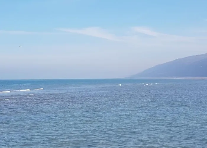 Studio-cabine Simple Et Fonctionnel à Appartamento