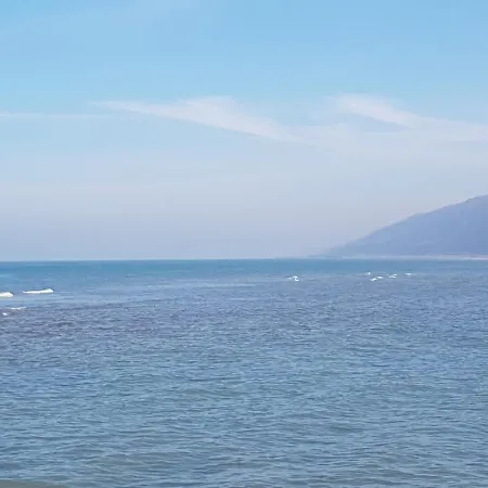 Studio-cabine Simple Et Fonctionnel à Appartement