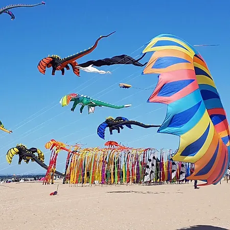 Studio-cabine Simple Et Fonctionnel à Appartement Houlgate